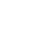 icon svg